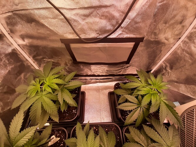 Growreport Bild 2