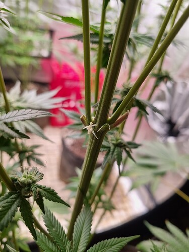 Growreport Bild 22