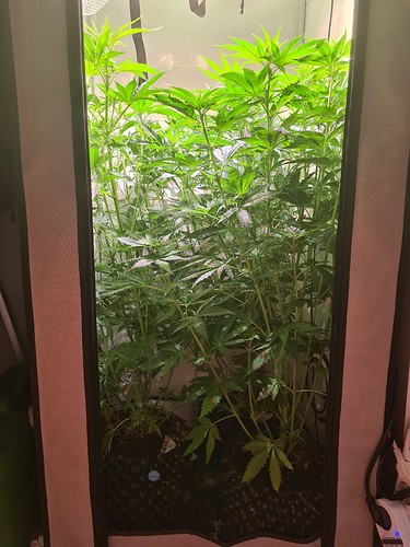 Growreport Bild 1