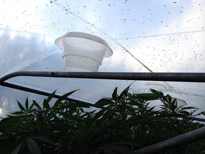 Growreport Bild 1