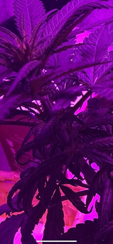 Growreport Bild 24