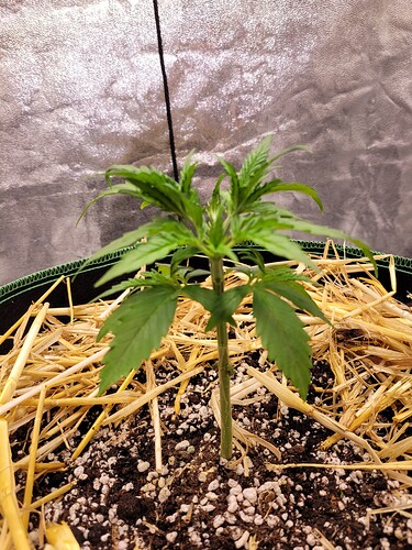 Growreport Bild 11