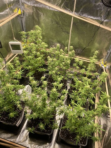 Growreport Bild 2