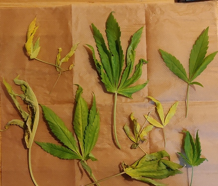 Growreport Bild 16