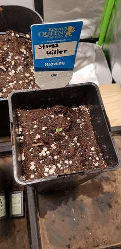 Growreport Bild 13