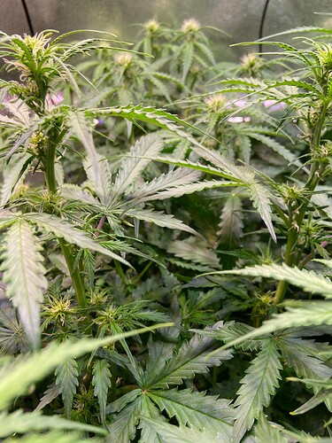 Growreport Bild 14