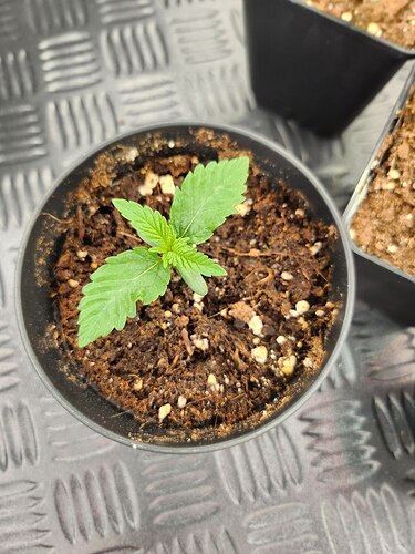 photo_2023-08-06_22-48-40