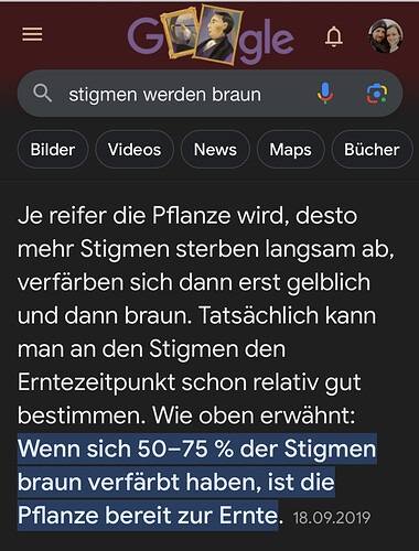 Growreport Bild 7