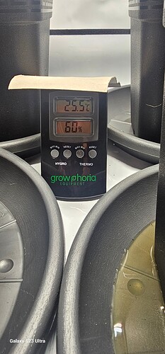 1000064694