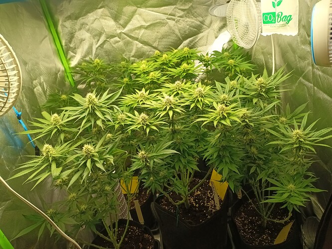 Growreport Bild 23