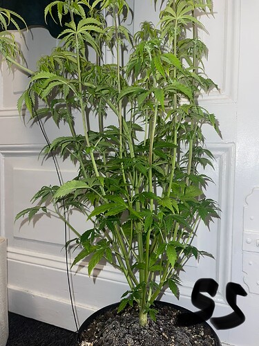 Growreport Bild 18