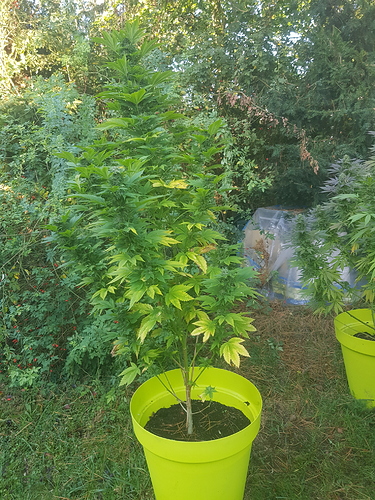 Growreport Bild 18