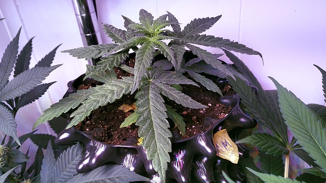 gruppe_3 Generationen_MM