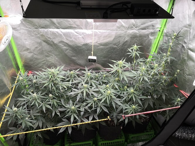 IMG_20221116_083618_copy_2304x1728