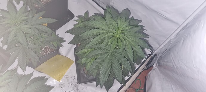 Growreport Bild 19