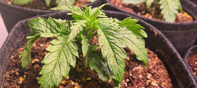 Growreport Bild 12