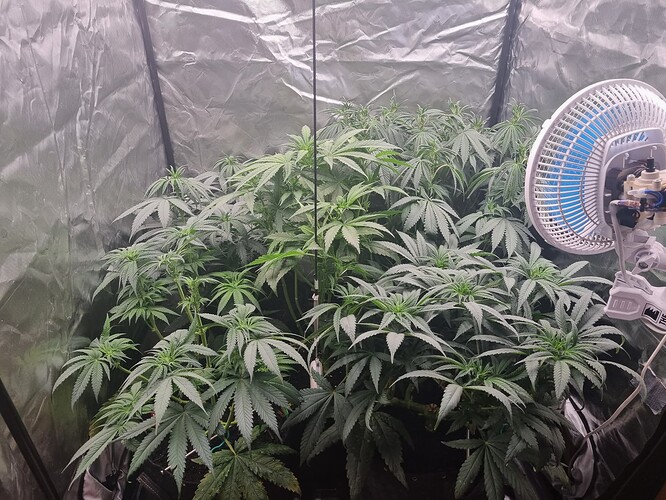 Growreport Bild 11