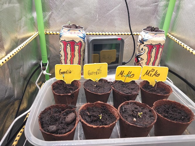 Growreport Bild 5