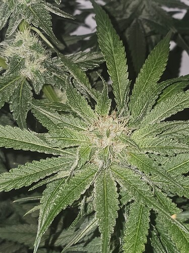 Growreport Bild 22