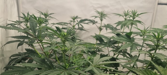Growreport Bild 17