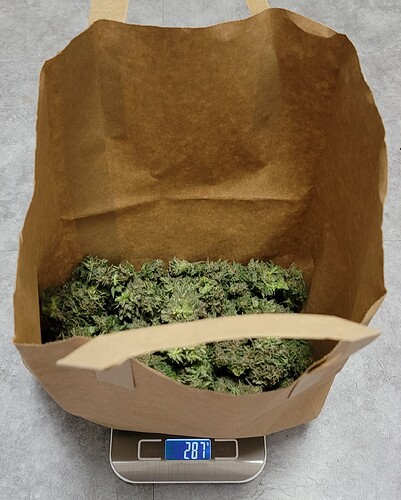 Growreport Bild 3