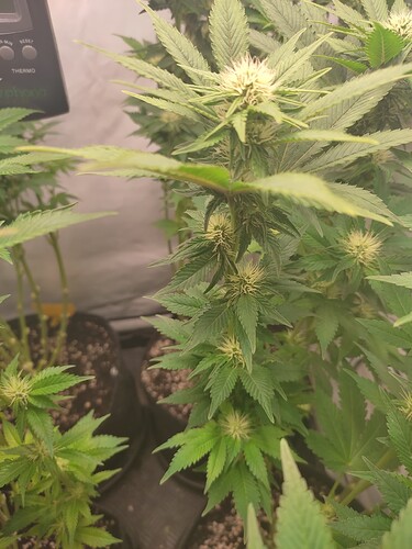 Growreport Bild 22