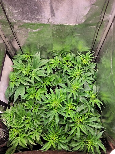 Growreport Bild 30