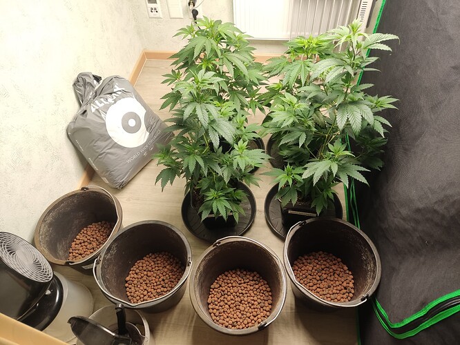 Growreport Bild 7