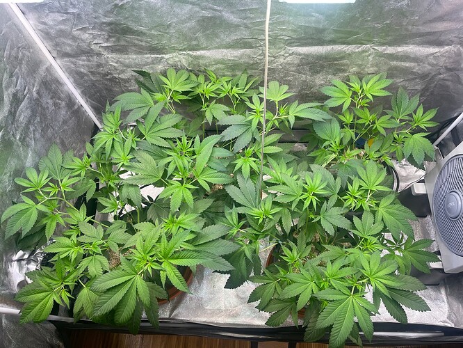 Growreport Bild 11