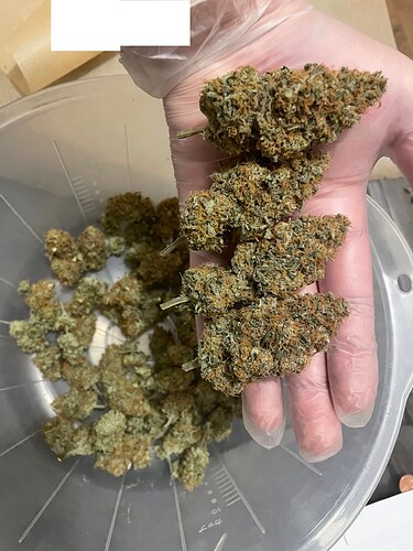 Growreport Bild 8