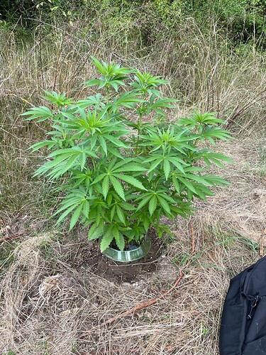 Growreport Bild 10