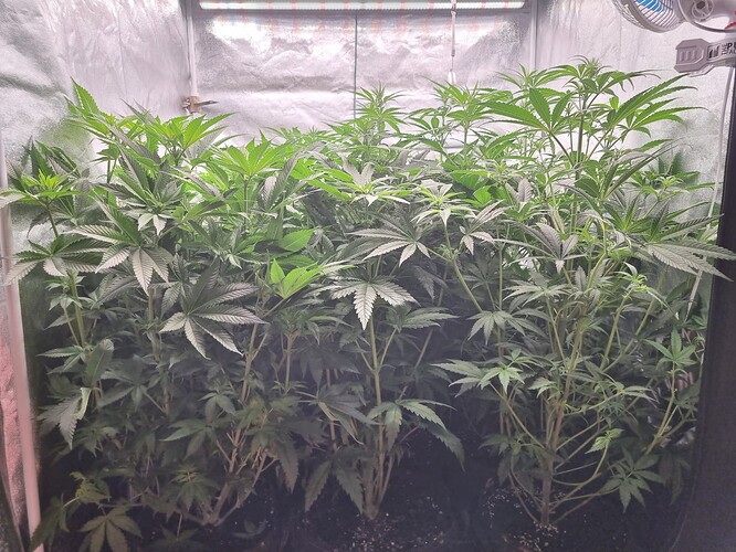 Growreport Bild 10
