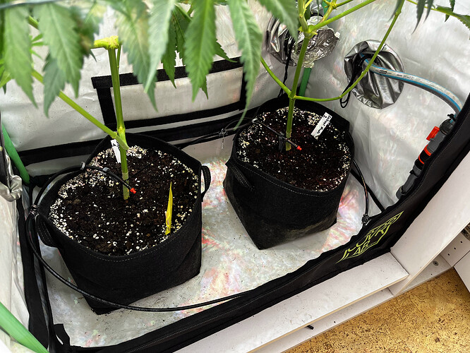 Growreport Bild 22