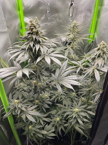Growreport Bild 9
