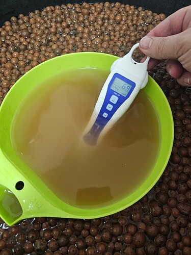 Growreport Bild 12