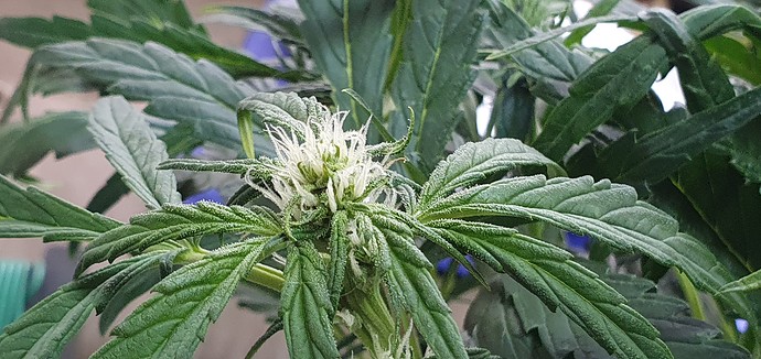 Growreport Bild 11