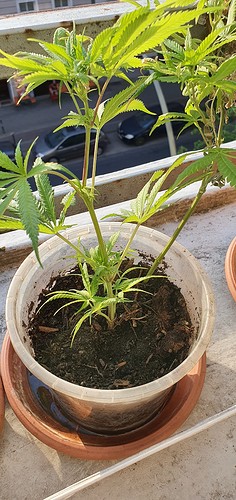 Growreport Bild 11
