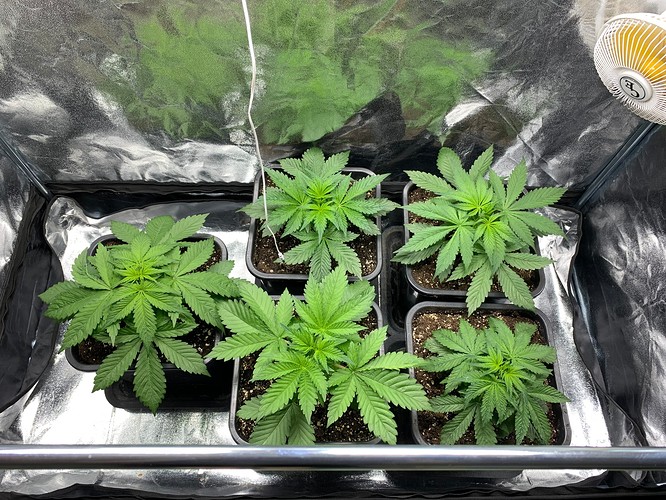 Growreport Bild 11