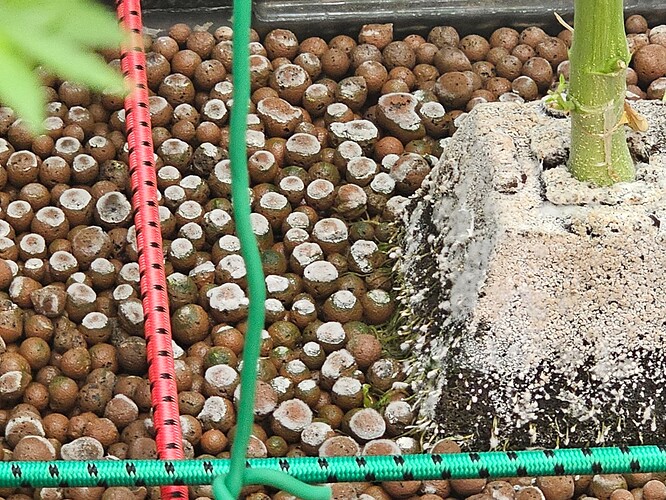Growreport Bild 9