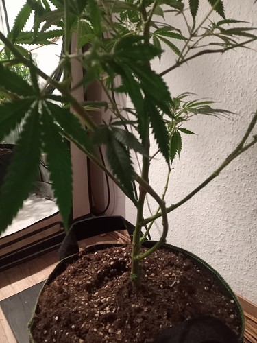 Growreport Bild 14