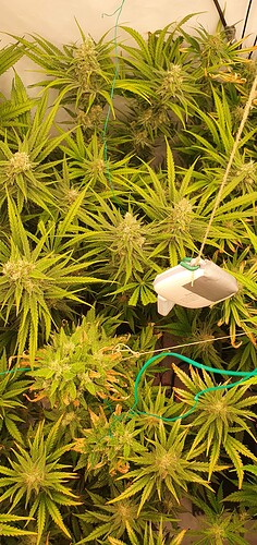 Growreport Bild 5