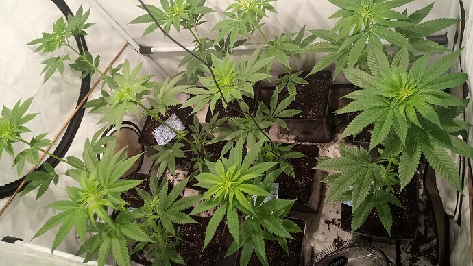 Growreport Bild 12