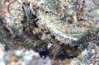 Foto am 18.11.20 um 14.58