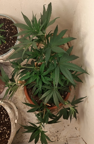 Growreport Bild 3