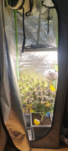Growreport Bild 6