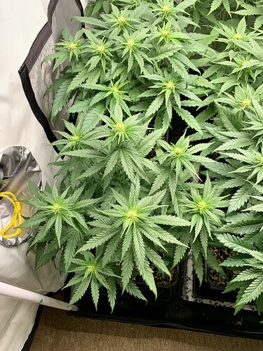 Growreport Bild 2