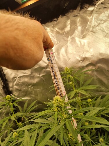 Growreport Bild 57