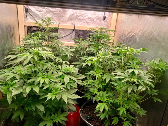 Growreport Bild 12