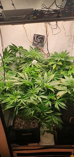 Growreport Bild 2