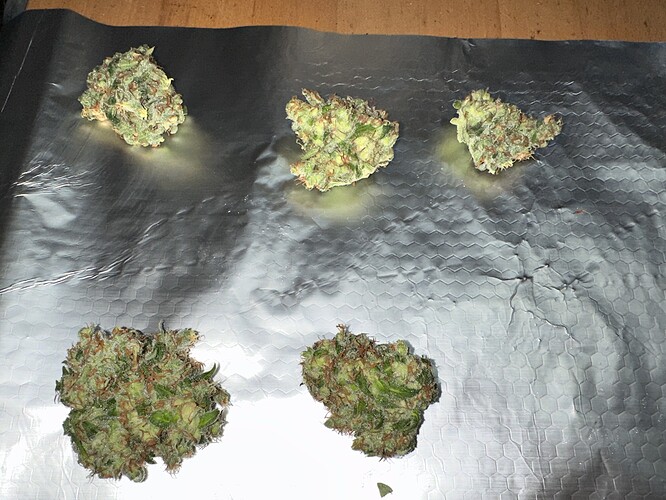 Growreport Bild 4
